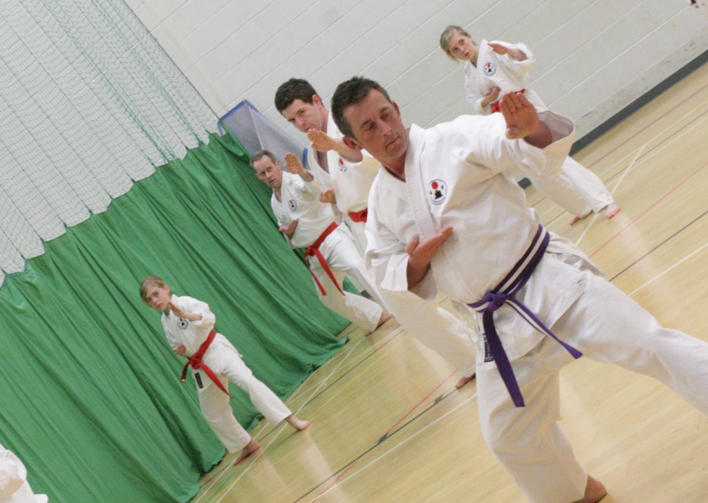 Training Evening at Dartmouth Karate Club