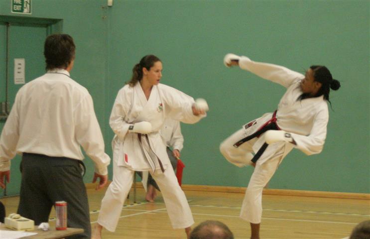 Southwest Karate Champs - Oct 2013 (11)